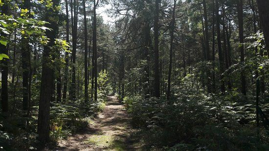 Restauracja Korsarz